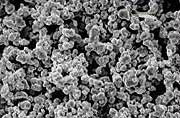 White pigment at 15 μm before being processed