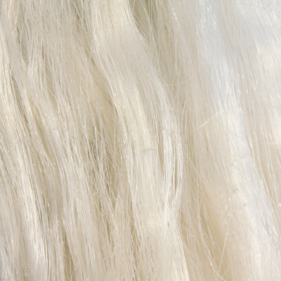 Biomass fibers from silk from Sugino BinFis